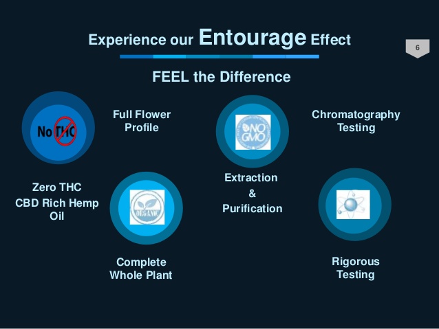 entourage-cbd-infograph